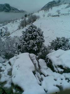 Adana Kozan Çelenuşağı Köyü Resimleri 13