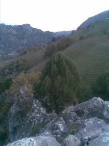 Adana Kozan Çelenuşağı Köyü Resimleri 18