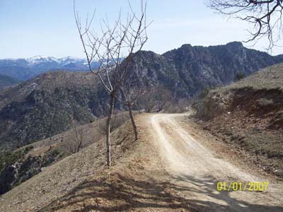 Adana Kozan Çelenuşağı Köyü Resimleri 4