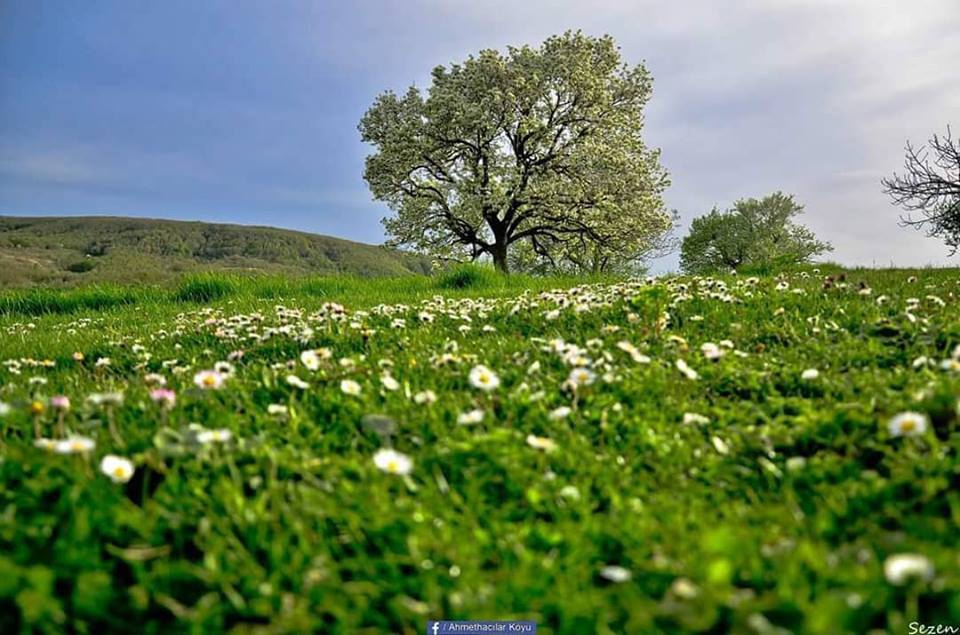 Kandıra Ahmethacılar Köyü Resimleri 8