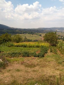 Kandıra Ahmethacılar Köyü Resimleri 9