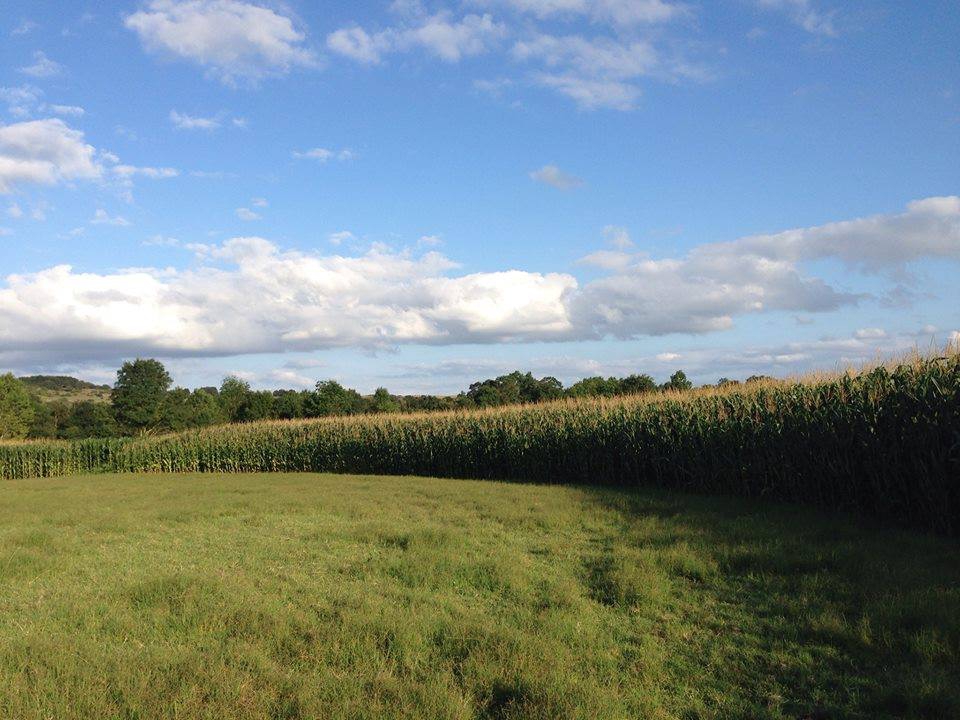 Kandıra Akbal Köyü Resimleri 1