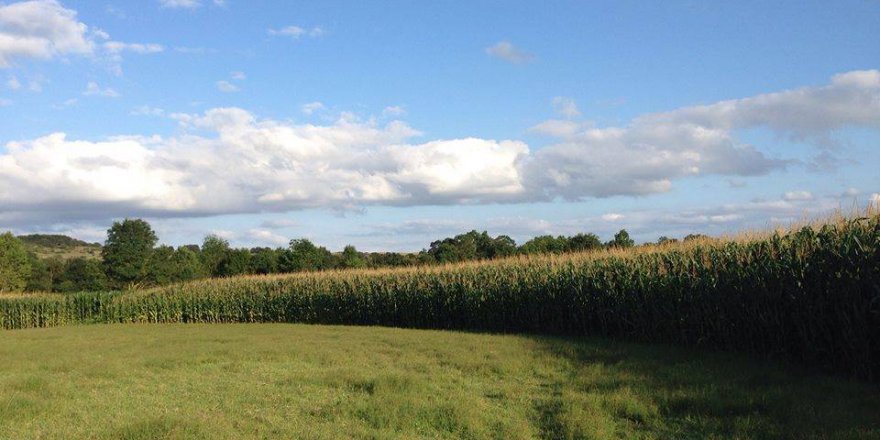 Kandıra Akbal Köyü Resimleri