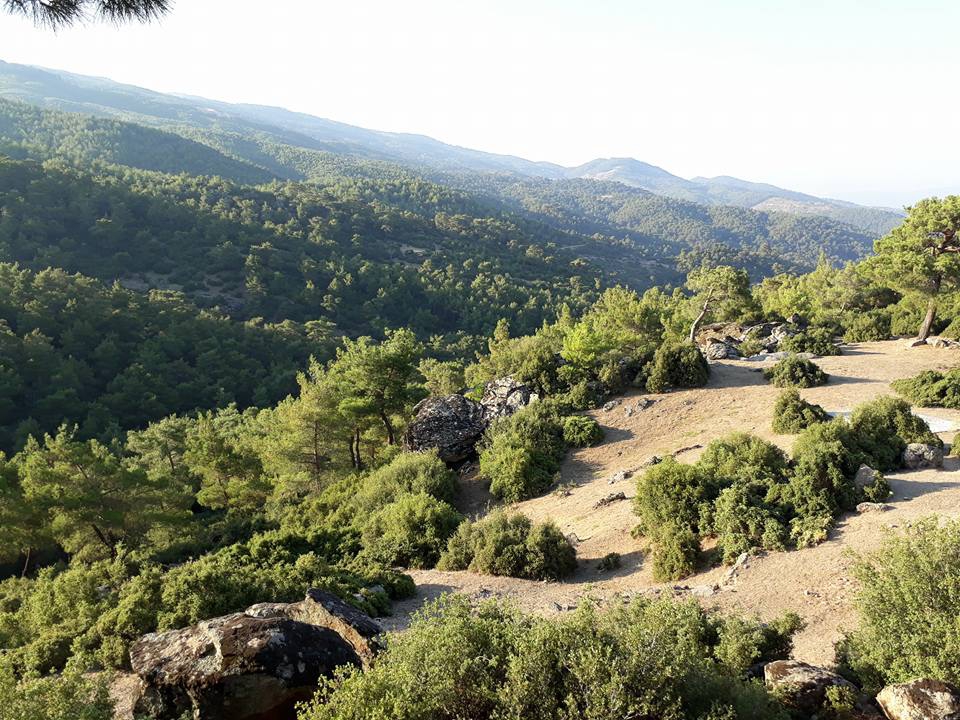 Çine İbrahimkavağı Köyü Resimleri 5