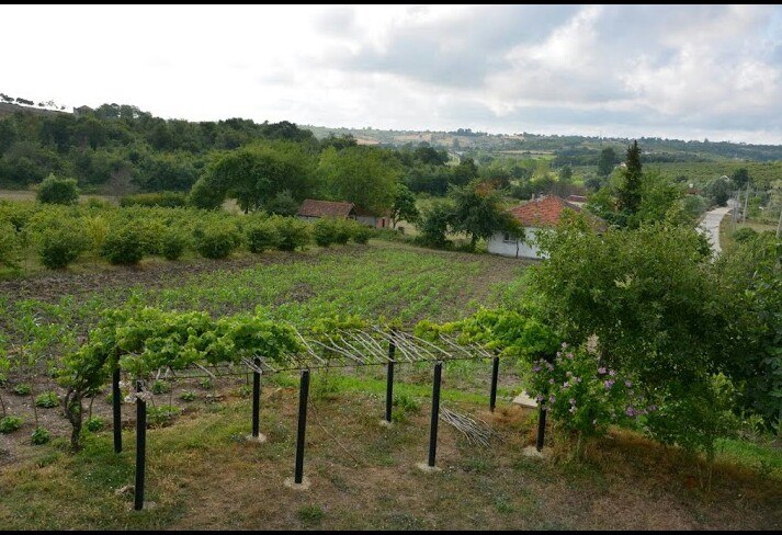 Kandıra Akçabeyli Köyü Resimleri 1