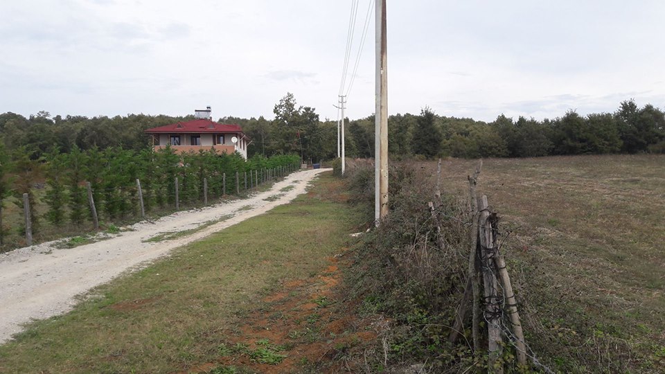 Kandıra Akçabeyli Köyü Resimleri 3