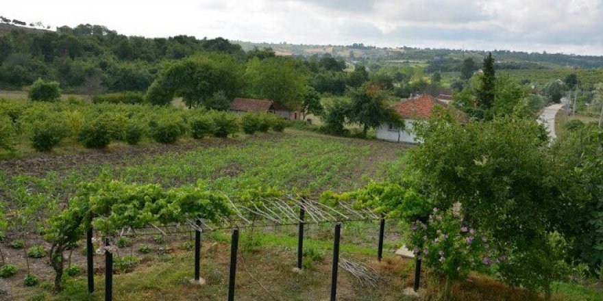 Kandıra Akçabeyli Köyü Resimleri