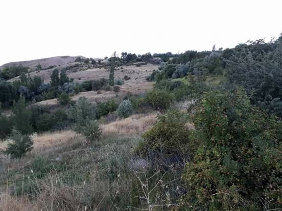 Divriği Gökçebel Köyü Resimleri 7