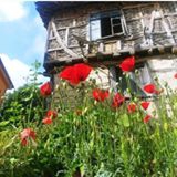 Kandıra Akıncı Köyü Resimleri 1