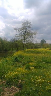 Kandıra Akıncı Köyü Resimleri 4