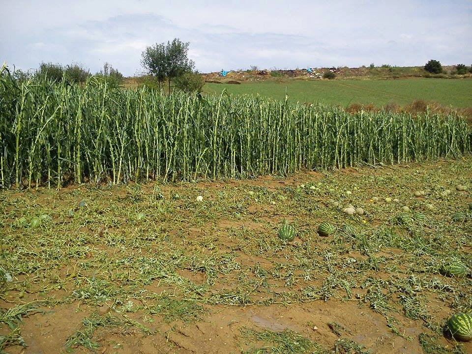 Kandıra Alefli Köyü Resimleri 1