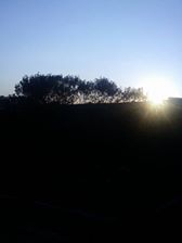 Kandıra Alefli Köyü Resimleri 5