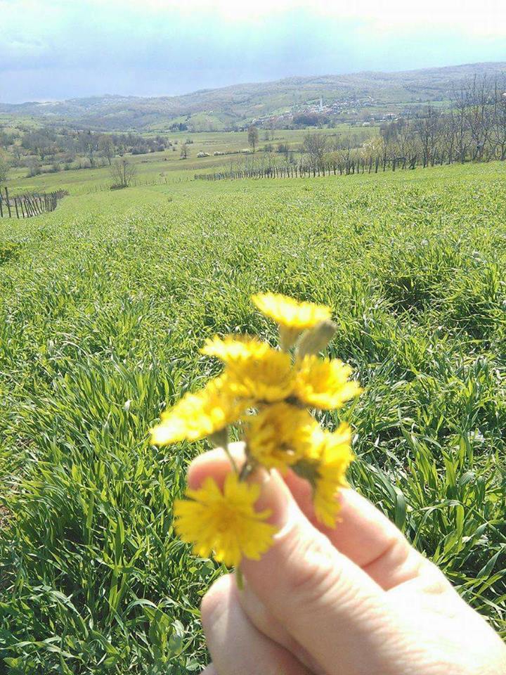 Kandıra Antaplı Köyü Resimleri 5