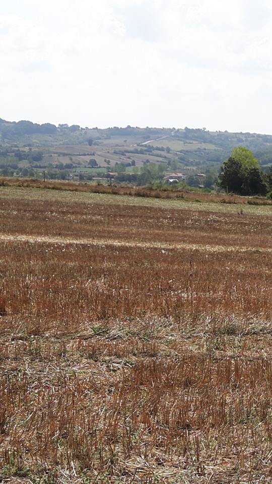 Kandıra Aydınlık Köyü Resimleri 1