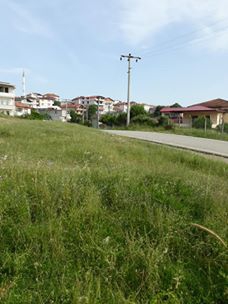 Kandıra Aydınlık Köyü Resimleri 3