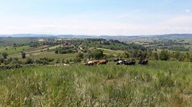 Kandıra Beyce Köyü Resimleri 2