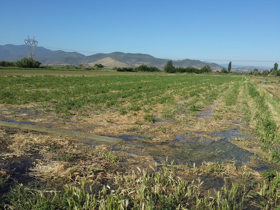 Çine Karakollar Köyü Resimleri 7