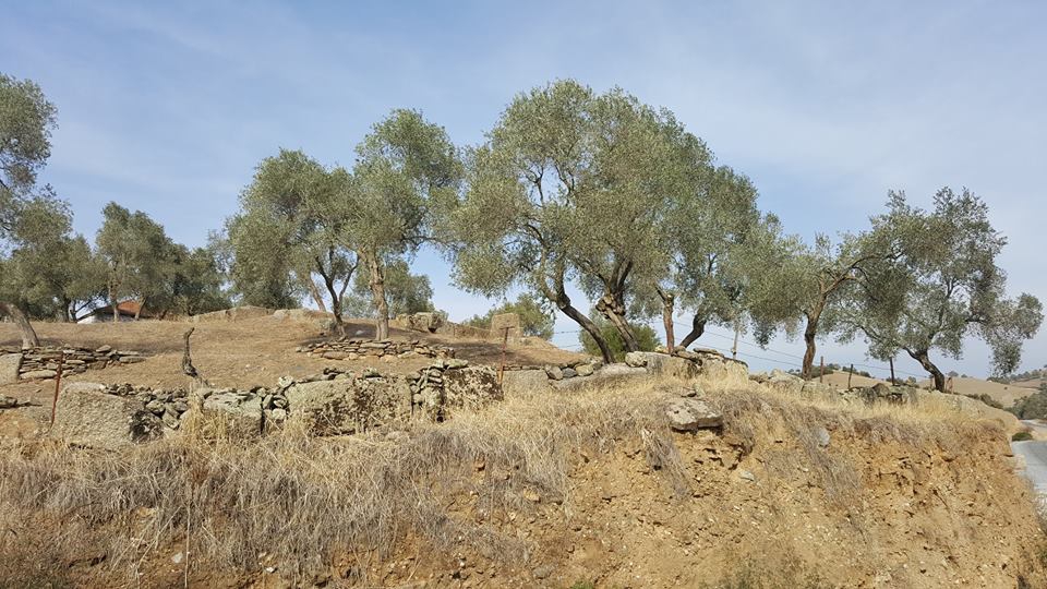 Çine Karanfiller Köyü Resimleri 3