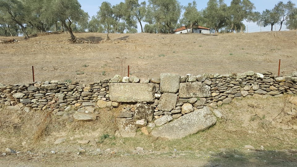 Çine Kasar Köyü Resimleri 5