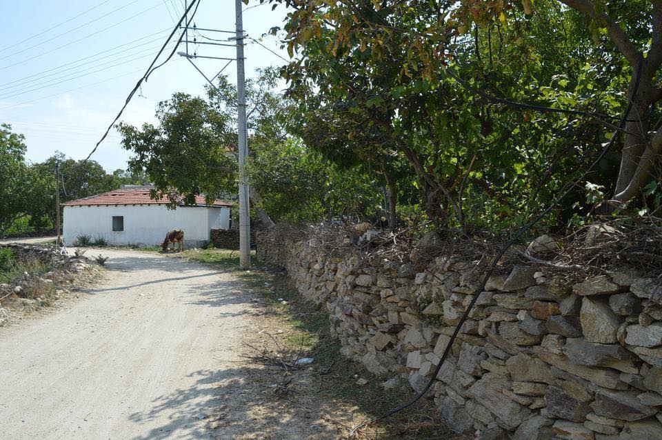 Çine Kavşıt Köyü Resimleri 2