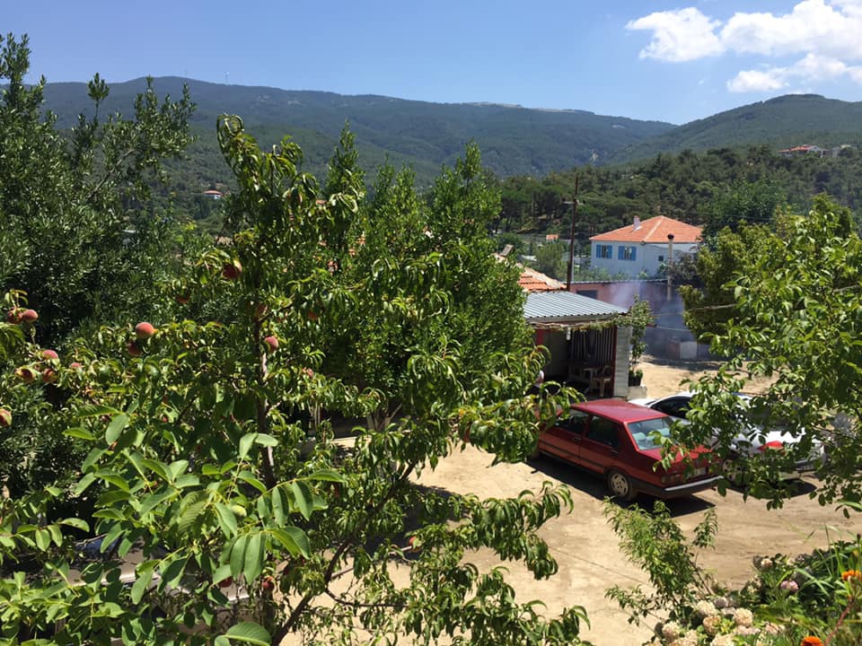 Çine Kavşıt Köyü Resimleri 4