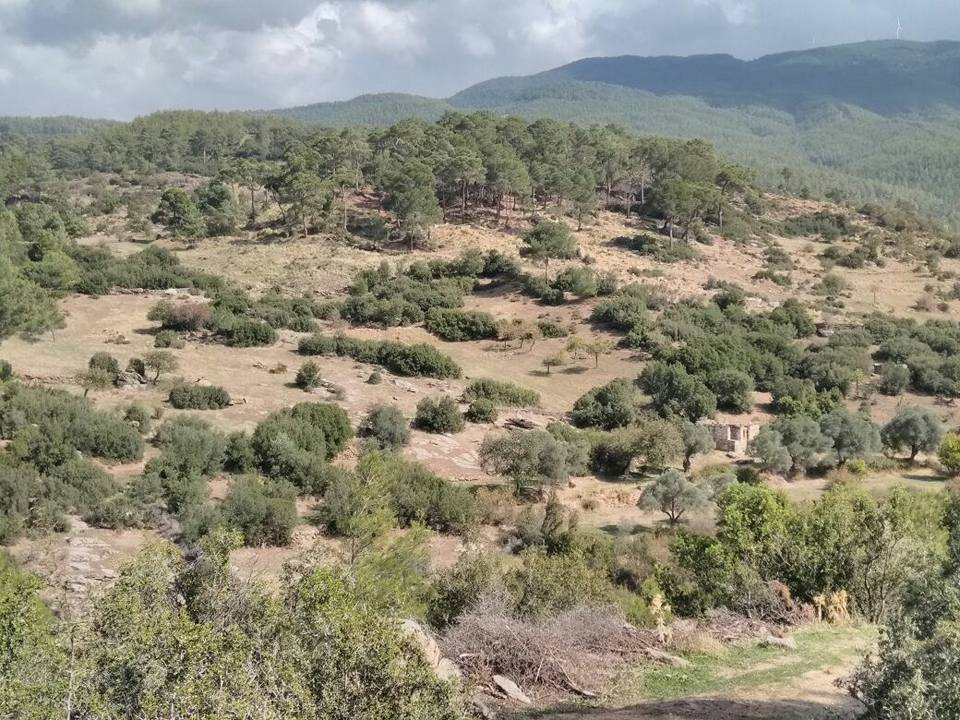 Çine Kavşıt Köyü Resimleri 7