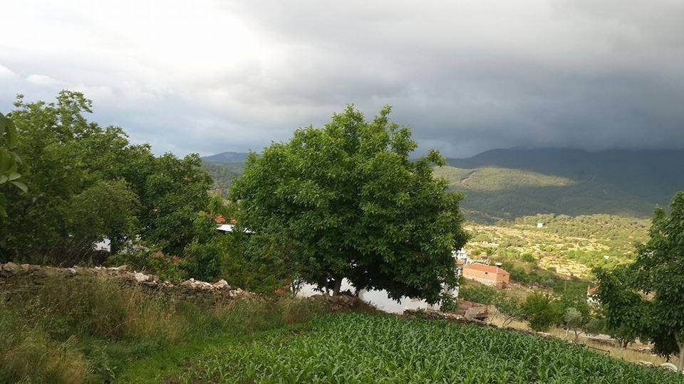 Çine Kavşıt Köyü Resimleri 9