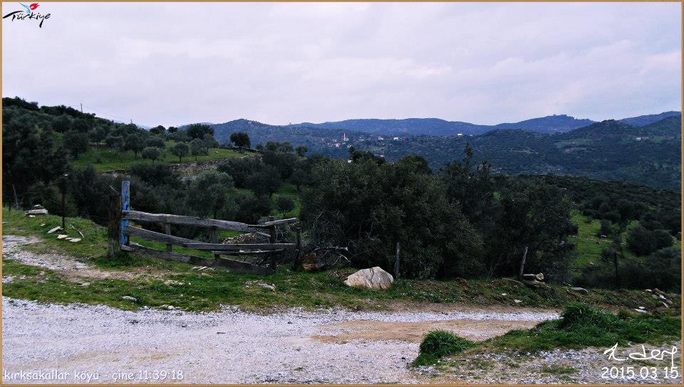 Çine Kırksakallar Köyü Resimleri 2