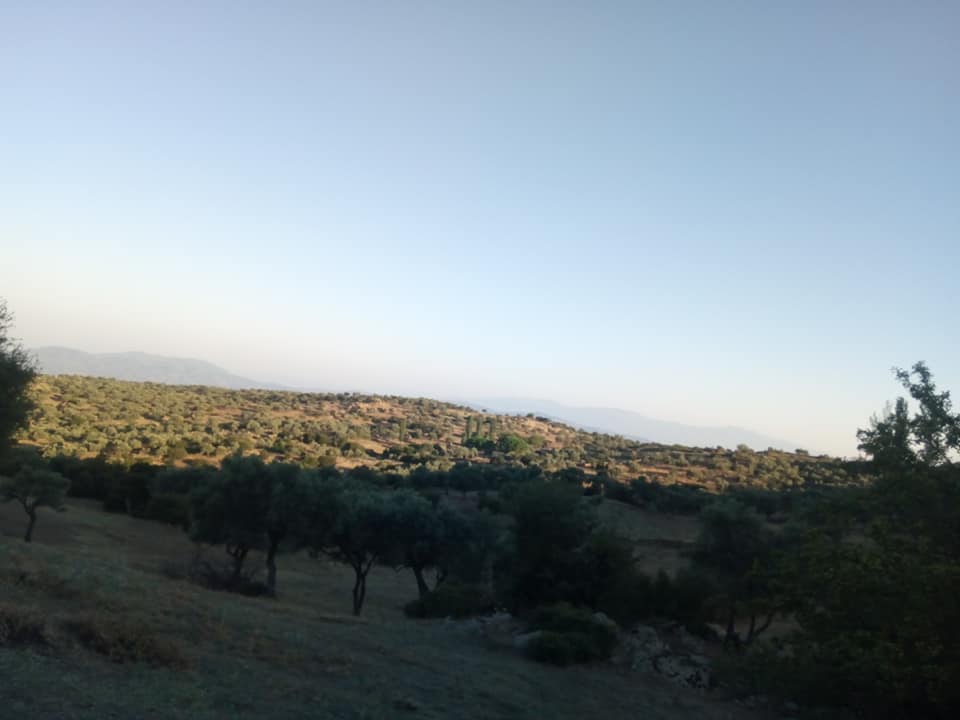 Çine Sarnıç Köyü Resimleri 1