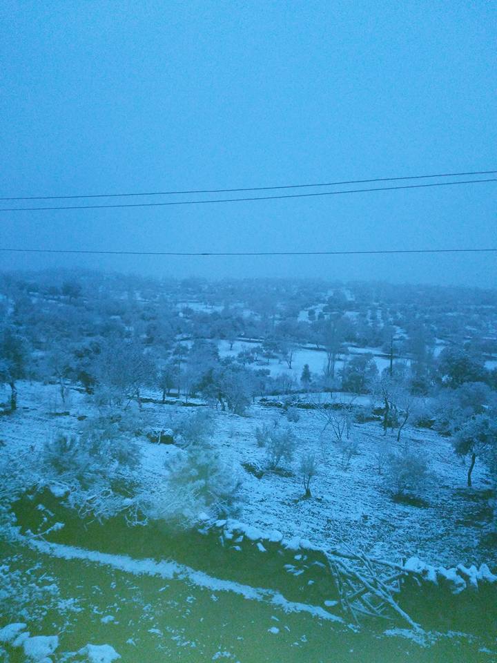 Çine Sarnıç Köyü Resimleri 2