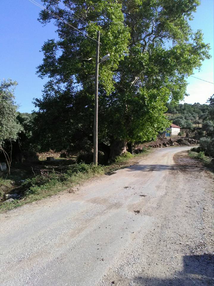 Çine Sarnıç Köyü Resimleri 3