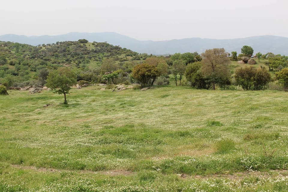 Çine Seferler Köyü Resimleri 2