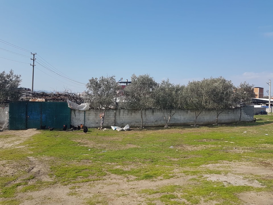 Çine Soğancılar Köyü Resimleri 5