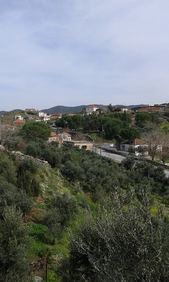 Çine Tepe Köyü Resimleri 3