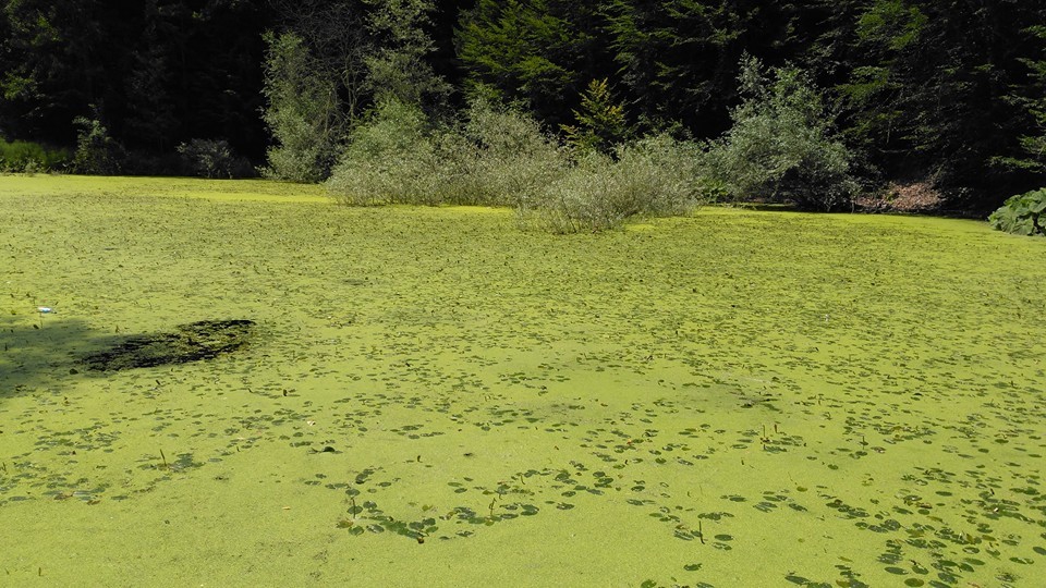 Kandıra Bolu Köyü Resimleri 3