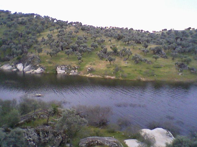 Çine Topçam Köyü Resimleri 3