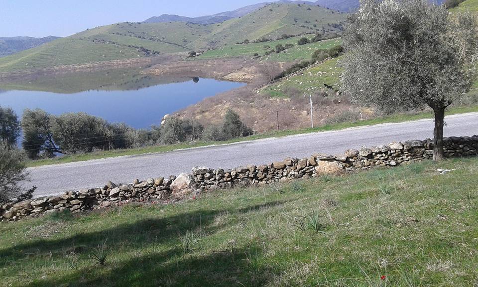 Çine Topçam Köyü Resimleri 4