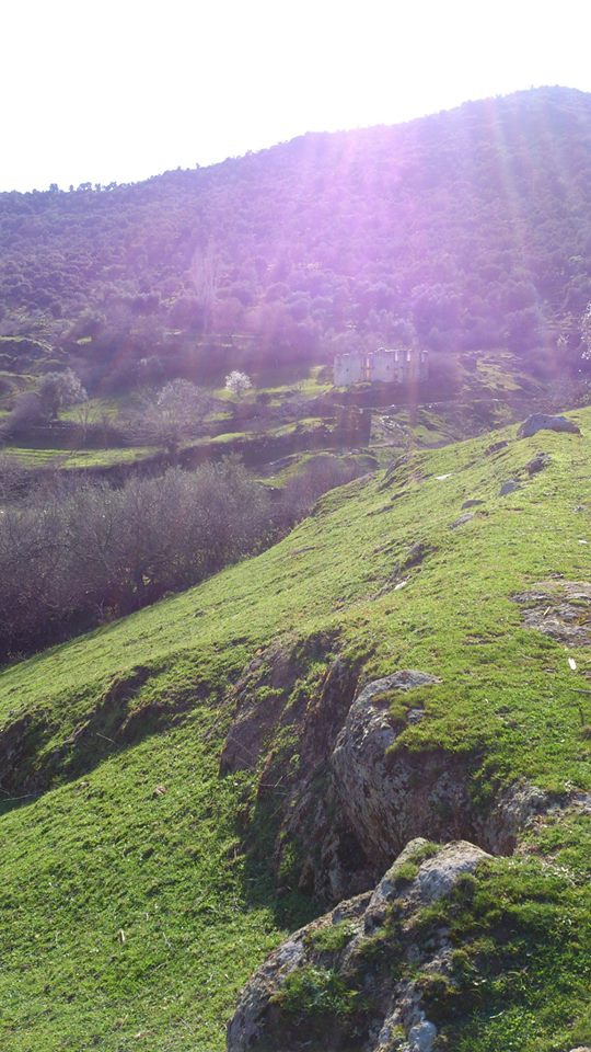 Çine Umur Köyü Resimleri 2