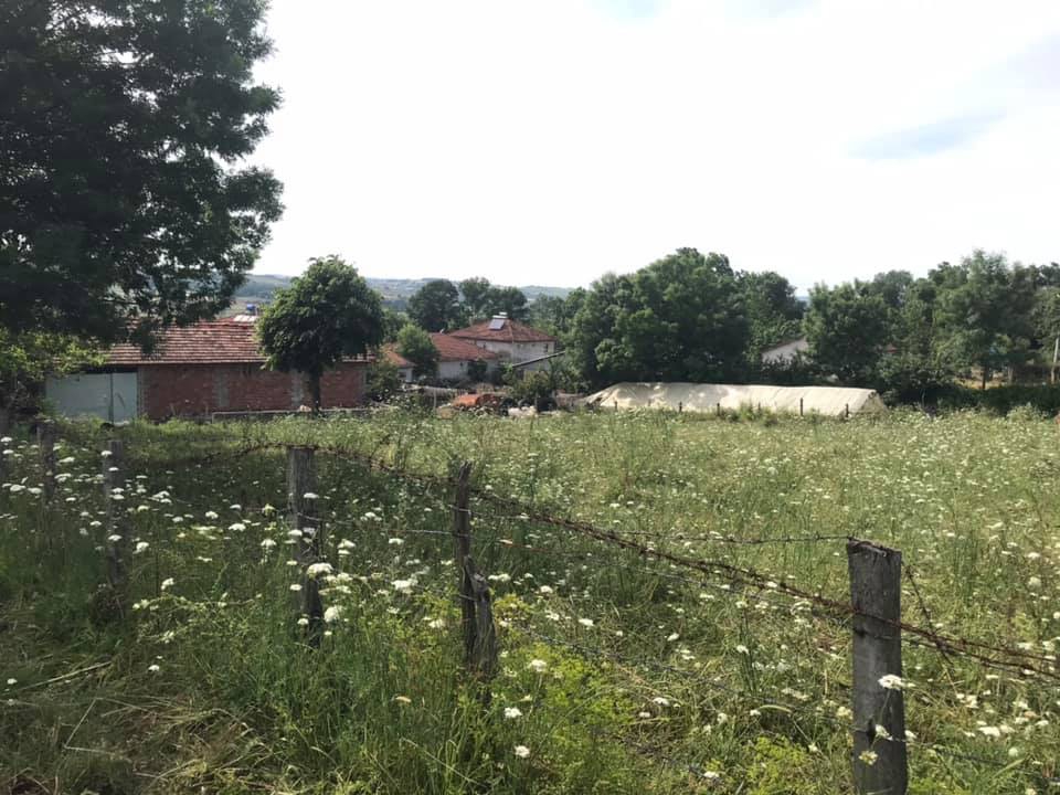 Kandıra Bozburun Köyü Resimleri 8