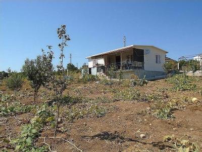 Didim Akyeni Köyü Resimleri 1