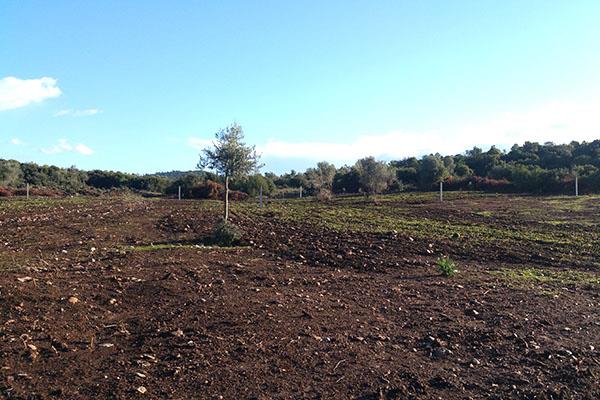 Didim Akyeni Köyü Resimleri 5