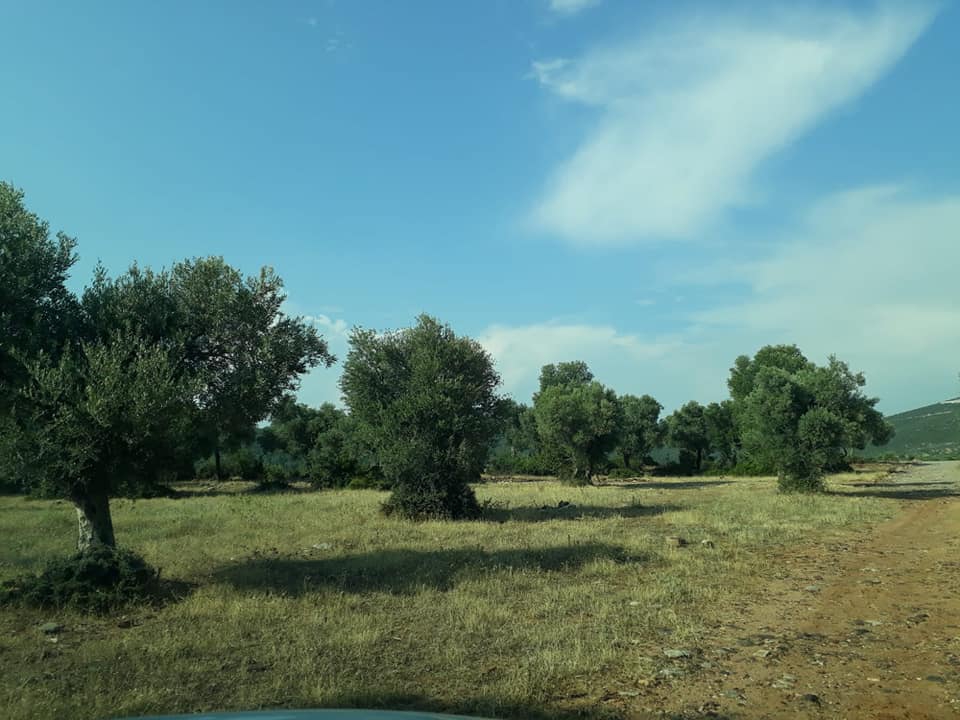 Didim Akyeni Köyü Resimleri 6