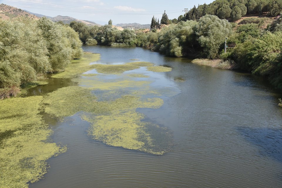 Efeler Adnanmenderes Köyü Resimleri 2