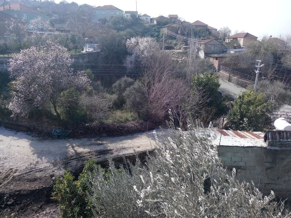 Efeler Alanlı Köyü Resimleri 8