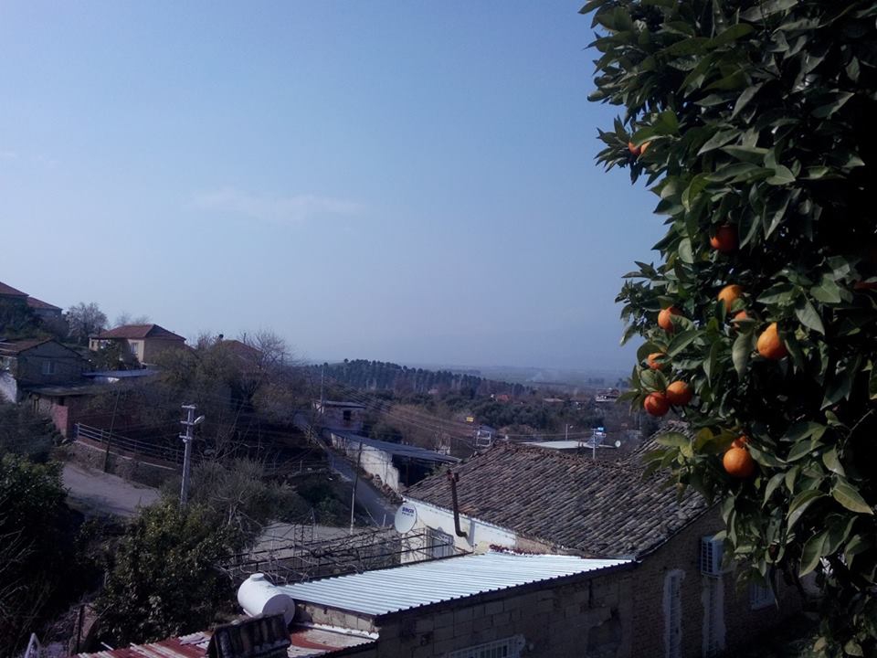 Efeler Alanlı Köyü Resimleri 9