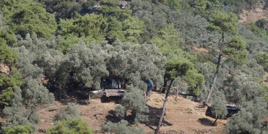 Efeler Ambarcık Köyü Resimleri