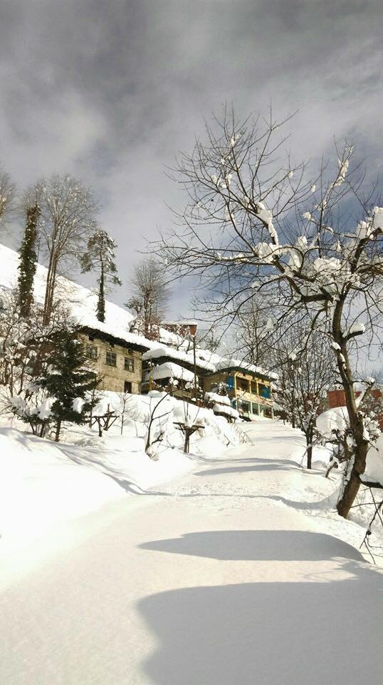 Efeler Armutlu Köyü Resimleri 4