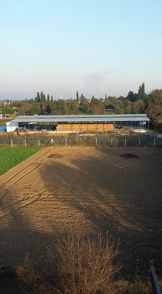 Efeler Armutlu Köyü Resimleri 7