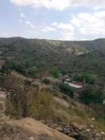 Efeler Aşağıkayacık Köyü Resimleri 3