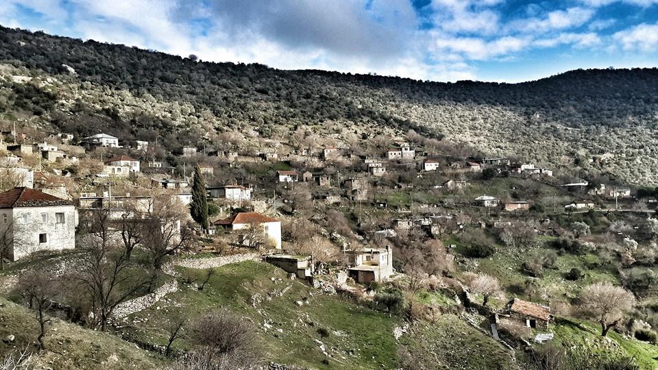 Efeler Bademli Köyü Resimleri 1